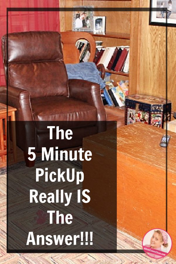 the 5 minute pick up is the answer to maintaining my home reader story at aslobcomesclean.com